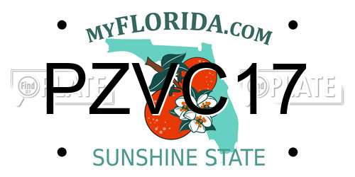 PZVC17 Florida License Plate