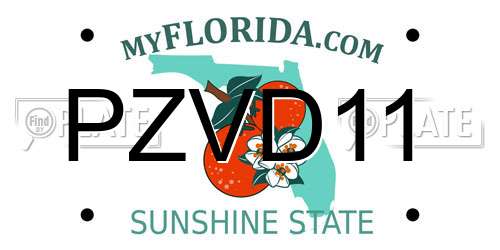 PZVD11 Florida License Plate