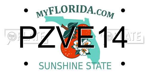 PZVE14 Florida License Plate