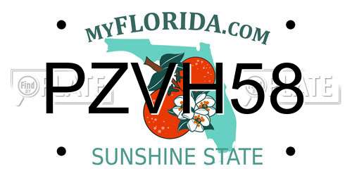 PZVH58 Florida License Plate
