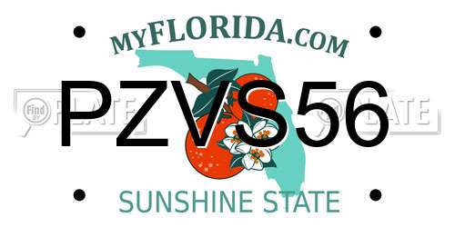 PZVS56 Florida License Plate