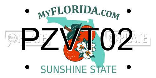 PZVT02 Florida License Plate