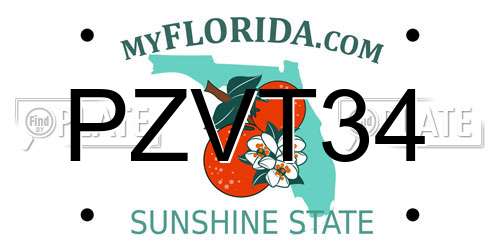 PZVT34 Florida License Plate