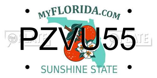 PZVU55 Florida License Plate