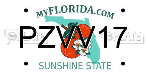 PZVV17 Florida License Plate