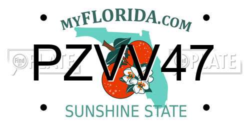 PZVV47 Florida License Plate