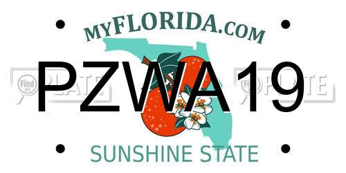 PZWA19 Florida License Plate
