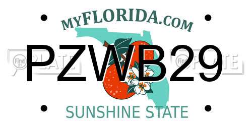 PZWB29 Florida License Plate