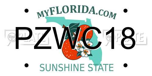 PZWC18 Florida License Plate