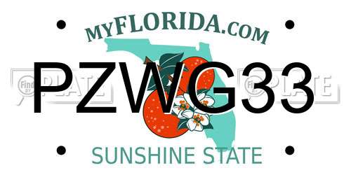 PZWG33 Florida License Plate