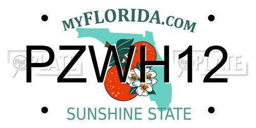 PZWH12 Florida License Plate