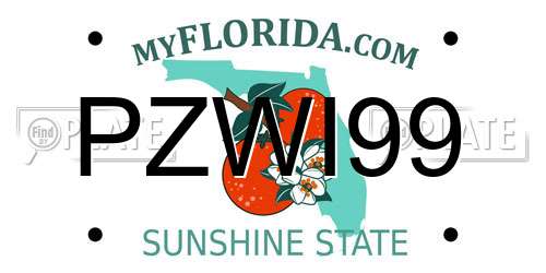 PZWI99 Florida License Plate