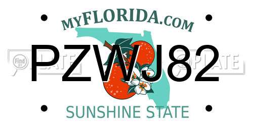 PZWJ82 Florida License Plate