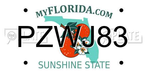 PZWJ83 Florida License Plate