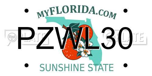 PZWL30 Florida License Plate