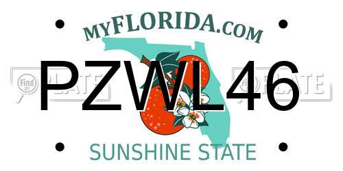 PZWL46 Florida License Plate
