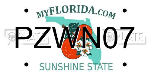 PZWN07 Florida License Plate