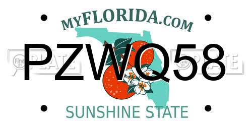 PZWQ58 Florida License Plate
