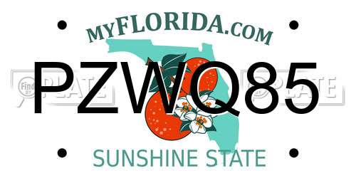 PZWQ85 Florida License Plate
