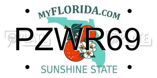PZWR69 Florida License Plate