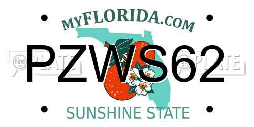 PZWS62 Florida License Plate