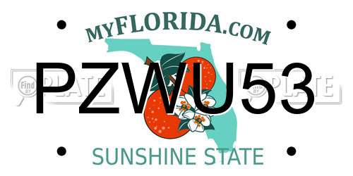 PZWU53 Florida License Plate