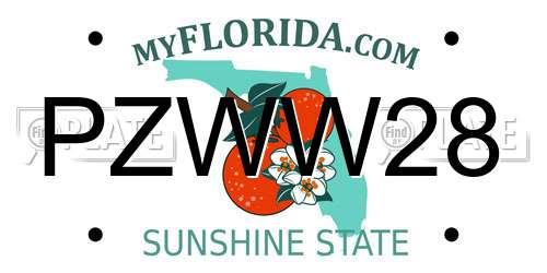 PZWW28 Florida License Plate