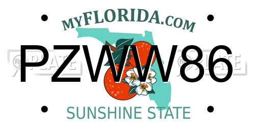 PZWW86 Florida License Plate