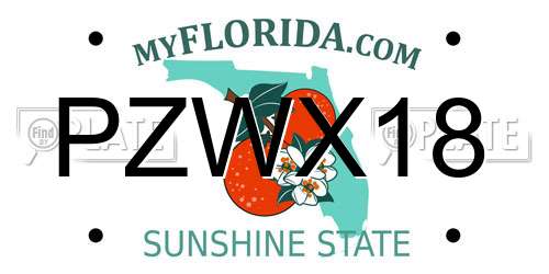 PZWX18 Florida License Plate