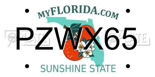 PZWX65 Florida License Plate