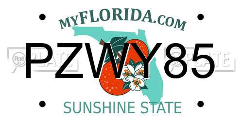 PZWY85 Florida License Plate