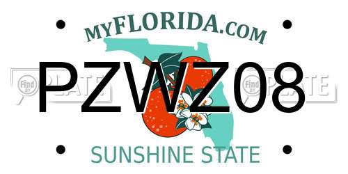 PZWZ08 Florida License Plate