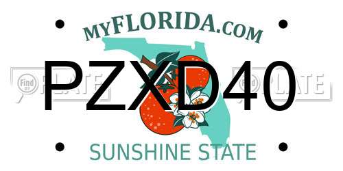 PZXD40 Florida License Plate
