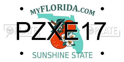 PZXE17 Florida License Plate