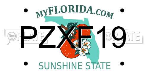 PZXF19 Florida License Plate