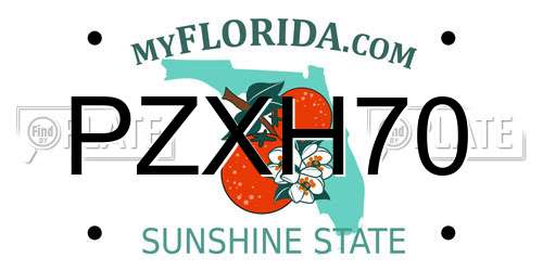PZXH70 Florida License Plate