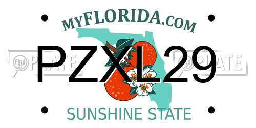 PZXL29 Florida License Plate