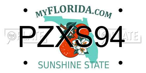 PZXS94 Florida License Plate
