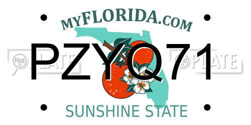 PZYQ71 Florida License Plate