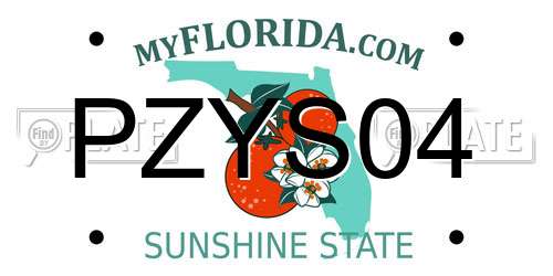 PZYS04 Florida License Plate
