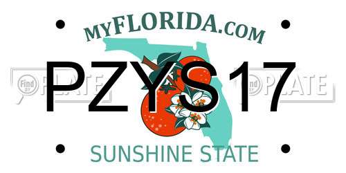 PZYS17 Florida License Plate
