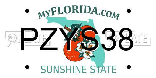 PZYS38 Florida License Plate