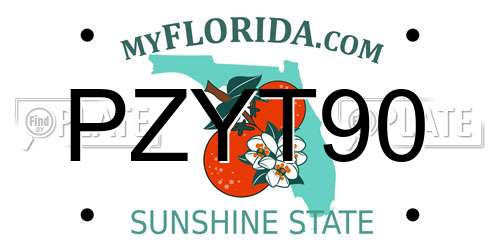 PZYT90 Florida License Plate