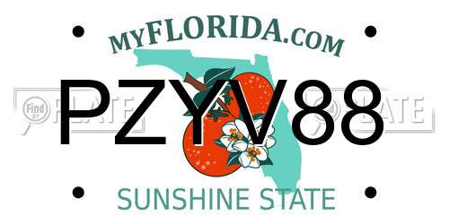 PZYV88 Florida License Plate