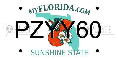 PZYY60 Florida License Plate
