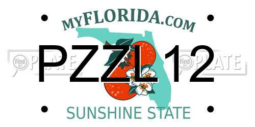 PZZL12 Florida License Plate