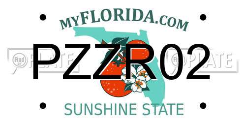PZZR02 Florida License Plate