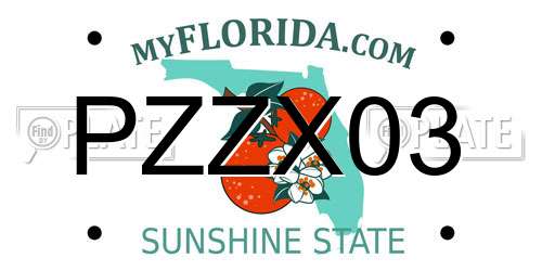 PZZX03 Florida License Plate