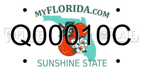 Q00010C Florida License Plate