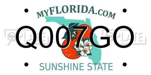 Q007GO Florida License Plate